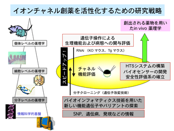 イオンチャネル創薬を活性化するための研究戦略