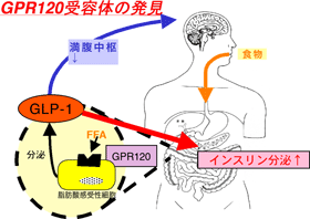 図2