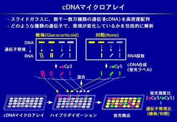図3