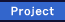 Project